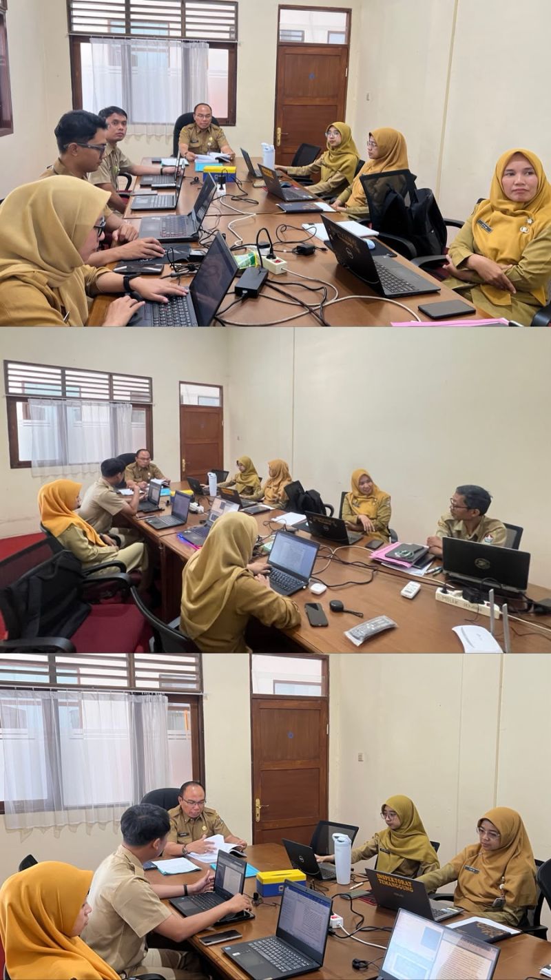 Pembahasan Hasil Audit Kinerja Peningkatan Iklim Investasi